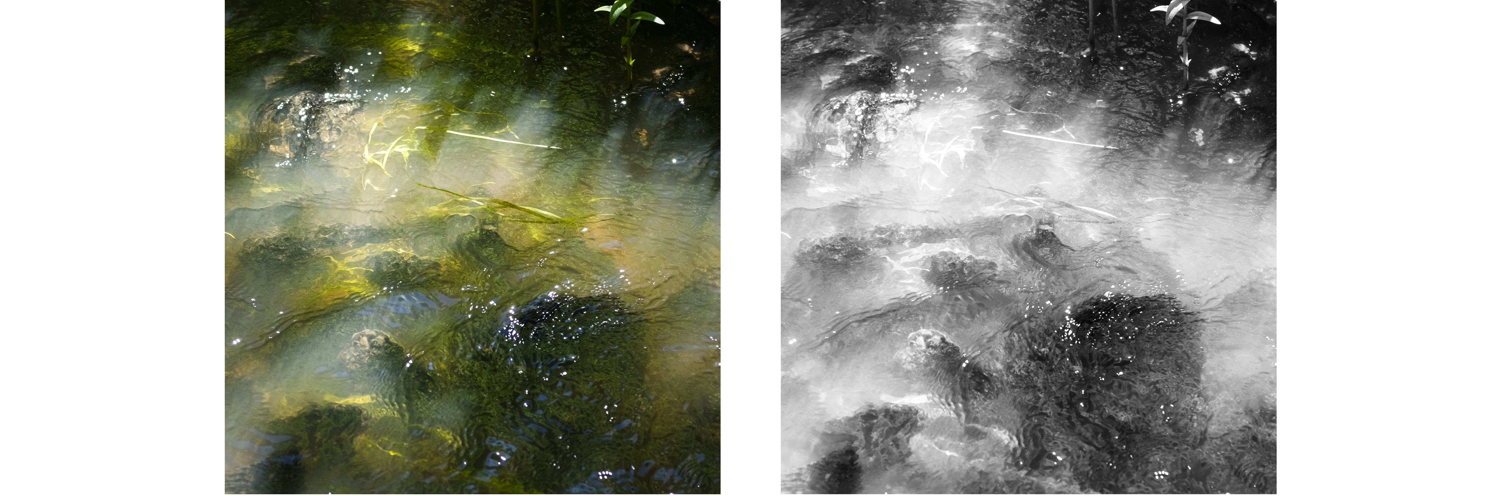 Responsive image