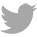 twitter_icon
